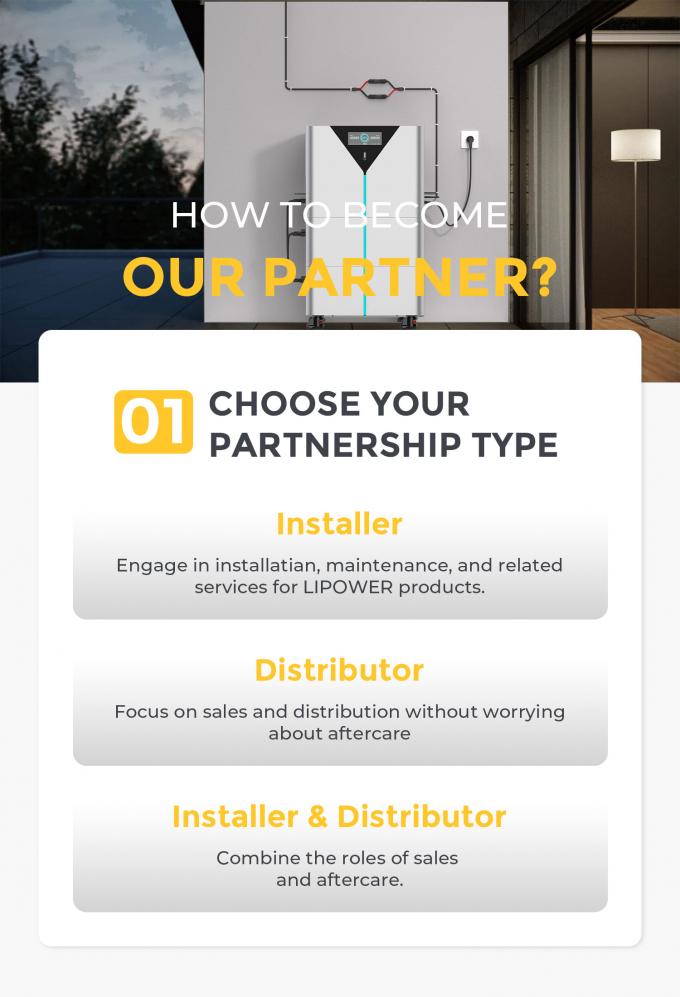 Off-Grid Lithium-Solarstation Inverter Lipofe4 Batteriebank 0